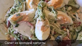 САЛАТ ИЗ МОЛОДОЙ КАПУСТЫ, ОГУРЦОВ И РЕДИСА