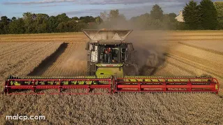 4Kᵁᴴᴰ Harvest 2023: Claas Lexion 8900TT harvesting wheat in Stonham Aspel, Suffolk