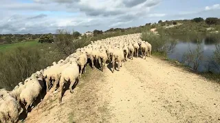 Esto es lo que realmente da la vida…mirar cuánta fauna alrededor del agua!