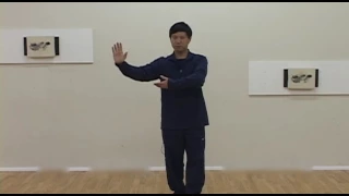 Yang Family Tai Chi Parry Block Punch to High Pat Horse/Palm Thrust