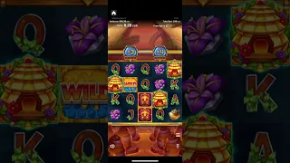 🐝 slot: Wild Swarm 2 🎰 Push Gaming 📱Gameplay with free spins bonus