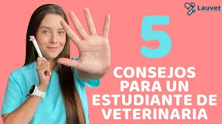 5 CONSEJOS PARA UN ESTUDIANTE DE VETERINARIA - Lauvet