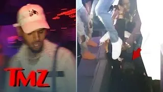 Chris Brown Head Stomps Fan at Concert | TMZ