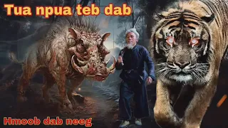 Dab neeg!..tua npua teb dab..28/6/2023