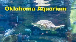 A Trip to the Oklahoma Aquarium