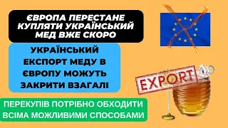 Український експорт меду під загрозую. Європа перестане купляти український мед!