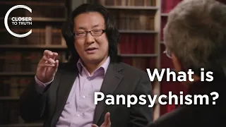 Yujin Nagasawa - What is Panpsychism?