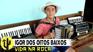 [VIDA NA ROÇA]IGOR dos 8 Baixos, filho do Agricultor: BENEDITO SILVA, deu um SHOW de Fole, Parte 04🌵