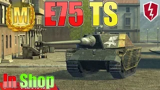 E 75 TS 4,4k DMG WoT Blitz