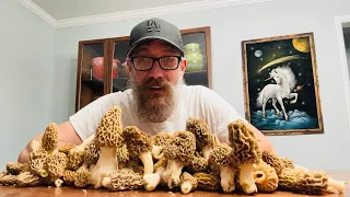 HOW TO FIND MOREL MUSHROOMS WHERE NO ONE Else LOOKS