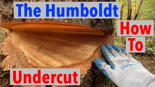 How to Make a Humboldt Undercut Felling Notch