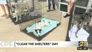 Clear the Shelters Day