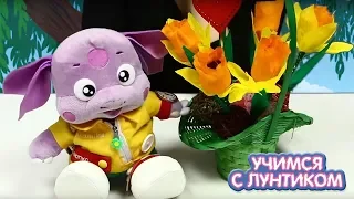 День святого Валентина 💛 Учимся с Лунтиком 💜 Сборник для детей