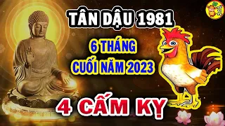 🔴Cảnh Báo Tân Dậu 1981 Ghi Nhớ 4 Điều Cấm Kỵ Để Cuối Năm Vượng Lộc Phát Tài, Trả Sạch Nợ