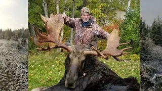 64" MOOSE ARCHERY HUNTS !!!! Northern Ontario .