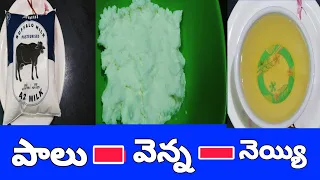 Turn milk into ghee for this simple steps|how to make ghee at home in telugu