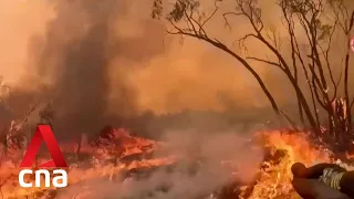 2 dead as wildfires rage across parts of Australia