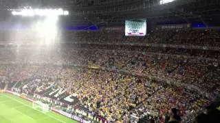 Украина - Франция ЕВРО 2012 (остановка матча)