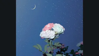 [FREE] Ukulele X Romantic Type Beat | Pop Instrumental | "nights with u"