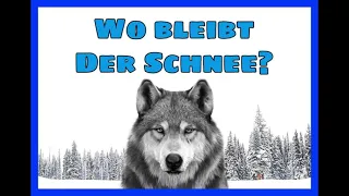 Diego Citywolf - Wo bleibt der Schnee ? ( Prod.by Citywolf Beats )