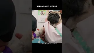 注射刺された瞬間の顔ヤバイWWWWWW