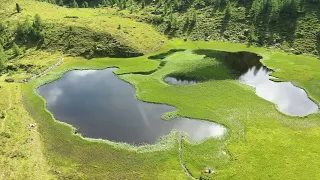 Alpine Swimming Österreich - Tour 64: Wildalmsee