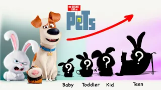 The Secret Life of Pets Growing Up Compilation | Cartoon Wow