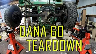 Dana 60 Teardown DIY