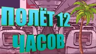 Прилетели в Доминикану / Доминикана серия №1 / Mish Steel