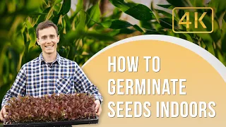 How to Germinate Seeds Indoors - Timon Spuller