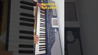 Kacurrelja - Korg pa800 TEST