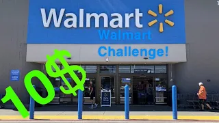 10$ Walmart BUDGET Fishing Challenge (Surprise Catch)