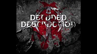 Detuned Destruction   Argentinien (Rework)