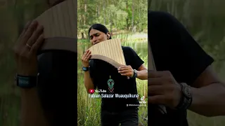 Tornero Panflute Version #shorts #music #nature #fabiansalazarwuauquikuna