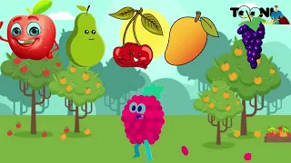 The Fruit Friends Song | Baby Nursery Rhymes and Kids Songs | Tooniventure