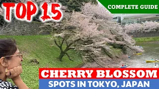 Top 15 Cherry Blossom Locations in Tokyo | Complete Guide for Sakura Festival in Japan