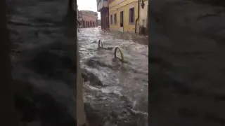 AquaStop Barrier in flood water