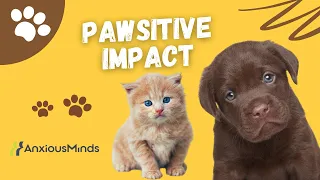 How Pets Can Improve Our Mental Health