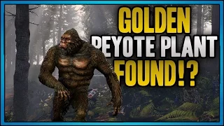 GTA 5: THE GOLDEN PEYOTE PLANT IS FOUND!? (GTA 5 Secret Mystery)