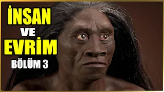 Dik Yürüyen İnsan: Homo erectus'un Anatomisi ve Hareket Kabiliyeti Belgeseli | Bölüm 3