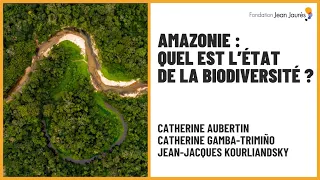 Amazonie : quel est l'état de la biodiversité ?