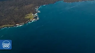 Galapagos Islands: everything that happens around an idyllic place ... and isolated from the world