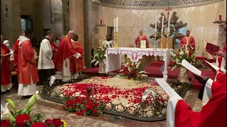 Holy Land celebrated the Solemn Mass of the Most Precious Blood of Our Lord Jesus Christ