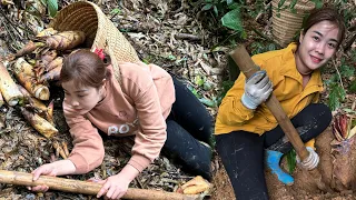 Harvest giant bamboo shoots to go to the market to sell - grow vegetables - build a farm |Anh Van