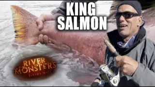 Have You Ever Seen A King Salmon? | River Monsters