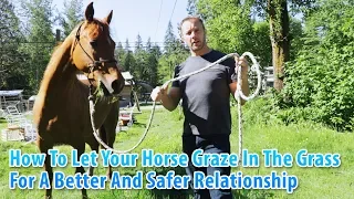 How To Let Your Horse Graze In The Grass For A Better And Safer Relationship