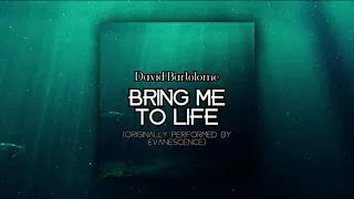 Evanescence - Bring Me To Life (Male Cover)