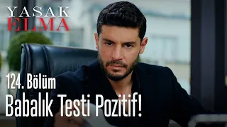 Babalık testi pozitif! - Yasak Elma 124. Bölüm