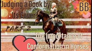 The Importance Of Conformation In Horses: Discover the Surprising Truth About 🐴 Conformation: Part 2