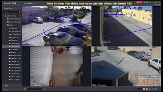 TUTORIAL: How to view live video via Smart PSS Software